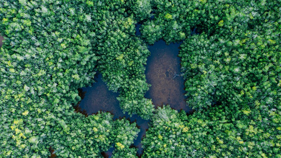 Biodiversity as a Strategic Asset for High-Performance Health Systems