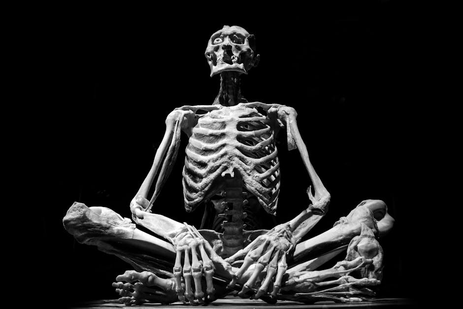 Biological Architecture: Why Human Behavior Dictates Health Outcomes