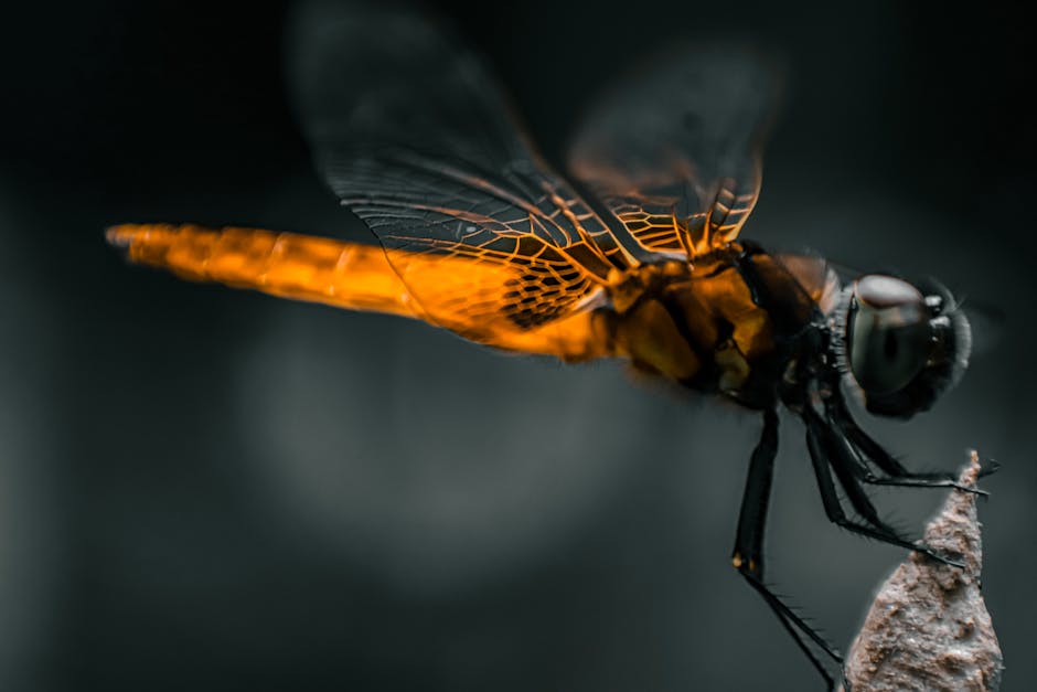 Biomimicry and Strategic Innovation: How Nature Shapes Performance