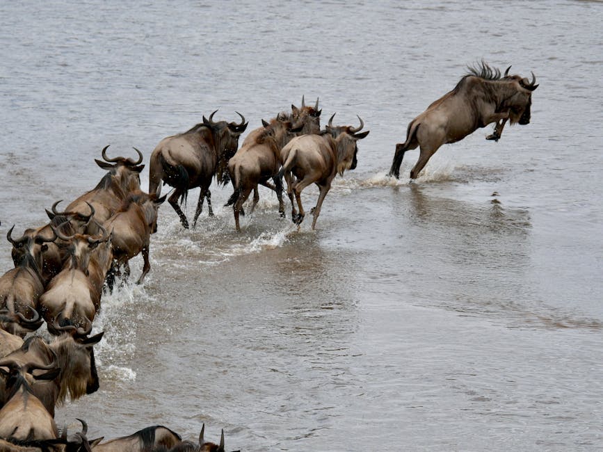 How Global Migration Flows Are Reshaping Financial Markets