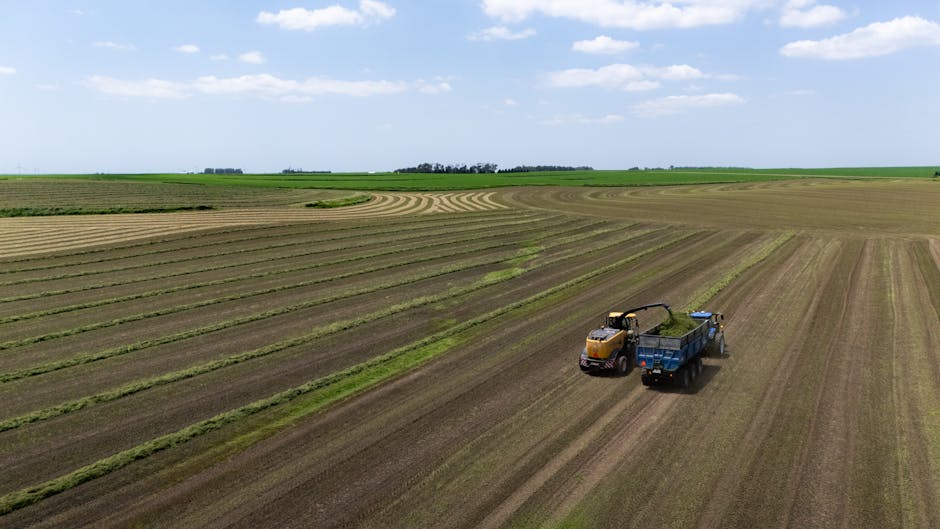 Scaling Agritech: Optimizing Yield via Optimal Transport Logic