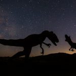 Dinosaur silhouettes against a star-filled night sky create a prehistoric ambiance.