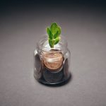 Green plant growing from a jar filled with coins, symbolizing financial growth and investment.