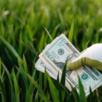 Crop faceless grower in garden gloves demonstrating heap of paper money with photo of unrecognizable person and numbers near growing lush grass
