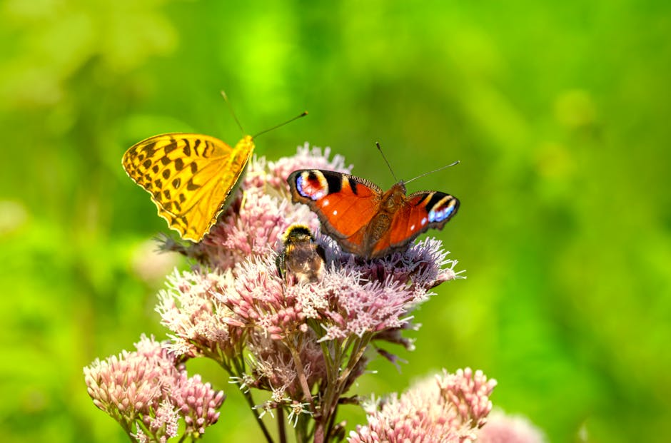 The Biodiversity Mandate: Why Natural Capital Now Drives Strategy