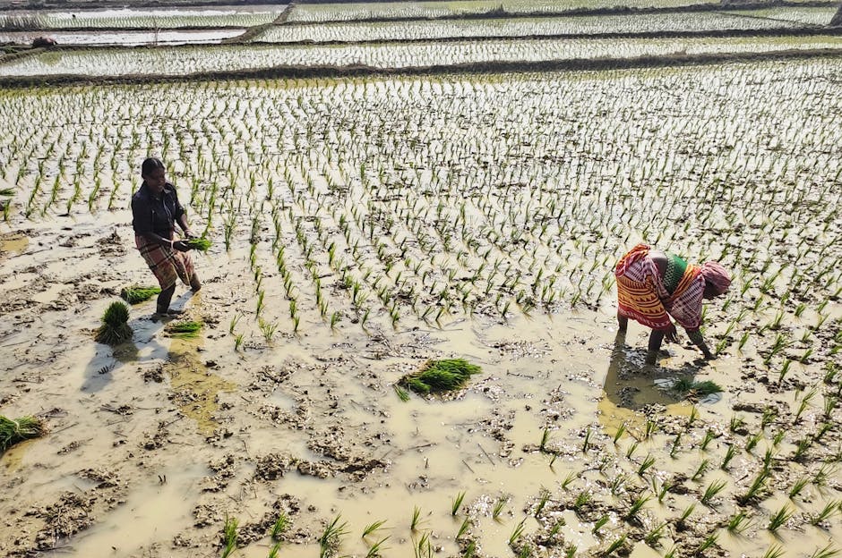 The Economics of Food Security: Strategic Risks for Global Leaders