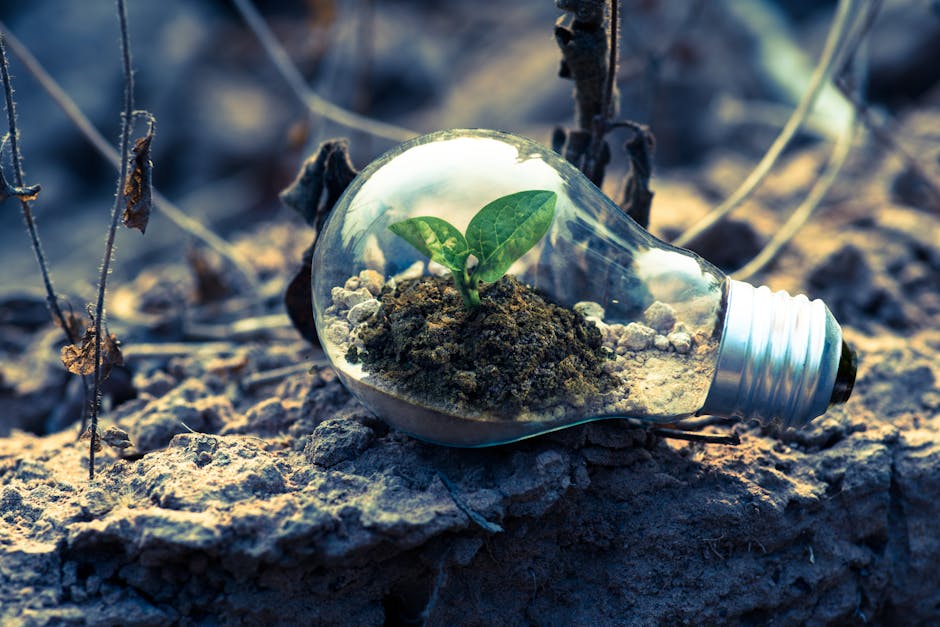 The Environmental Cost of Innovation: A Strategic Paradox