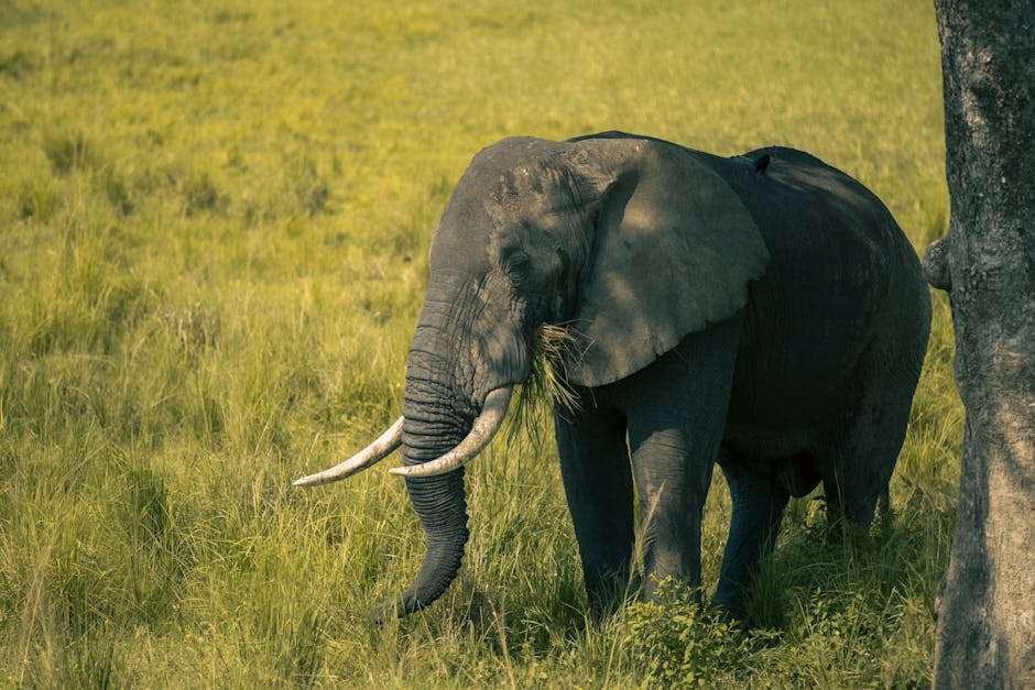 The Ethical Calculus of Biodiversity in Modern Strategy