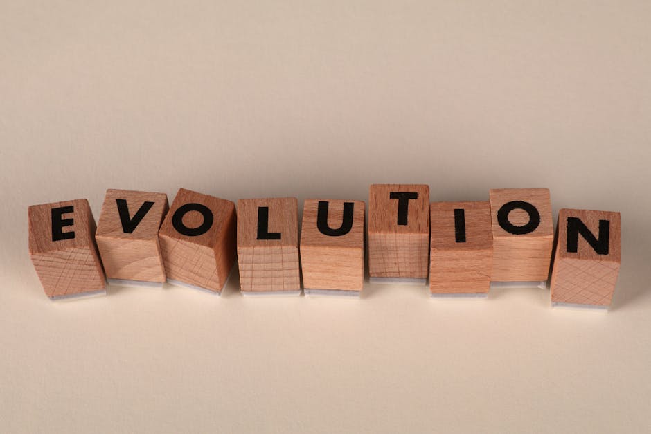 The Evolution of Creativity in Education: A Strategy for High Performance
