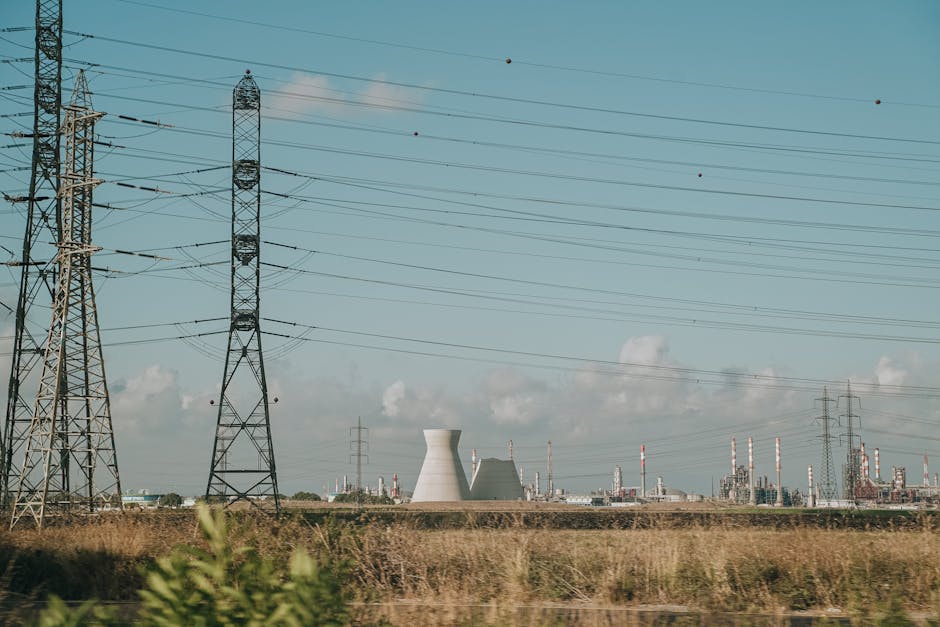 The Evolution of Renewable Energy: Lessons for Strategic Resilience