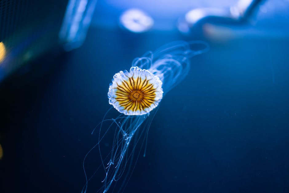 The Evolutionary Strategy: Biodiversity as a Foundation for Health