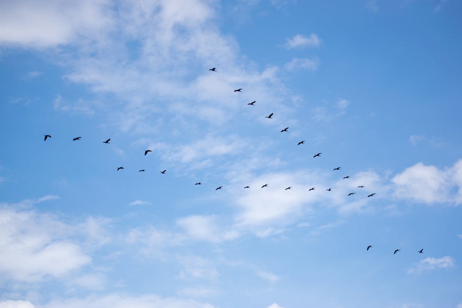 The Migration Paradox: Technical Debt in Modern Media Systems