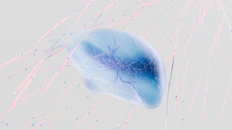 The Neuro-Natural Connection: Cognitive Performance in Nature