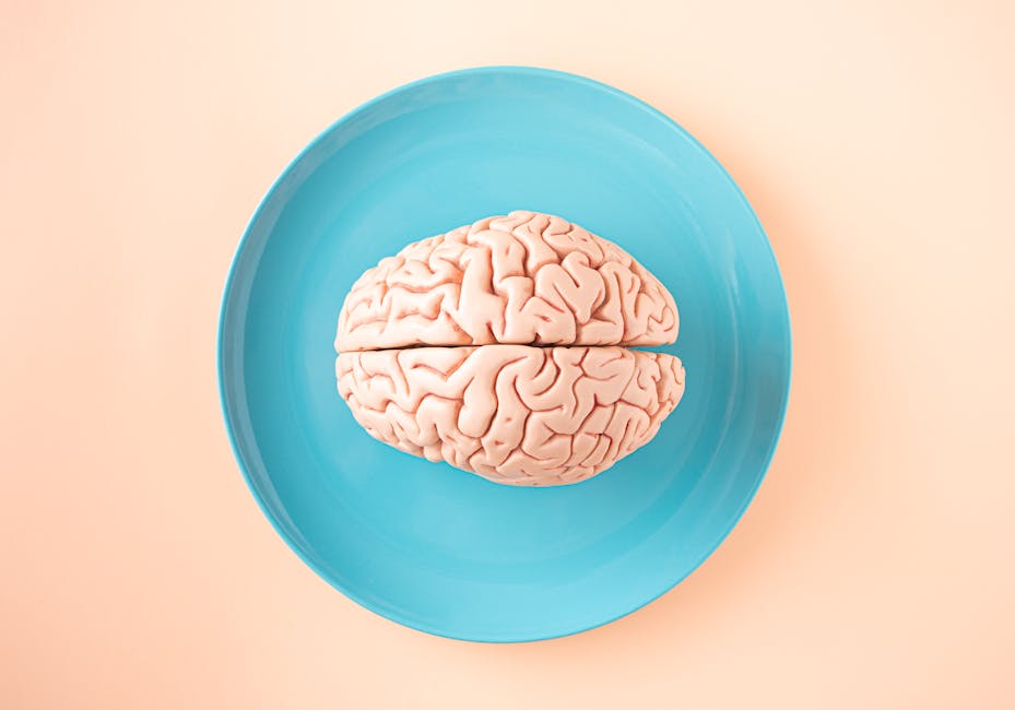 The Neuroscience of Learning: A Blueprint for Executive Development