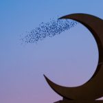 Silhouette of birds swirling around a crescent moon sculpture against a twilight sky.