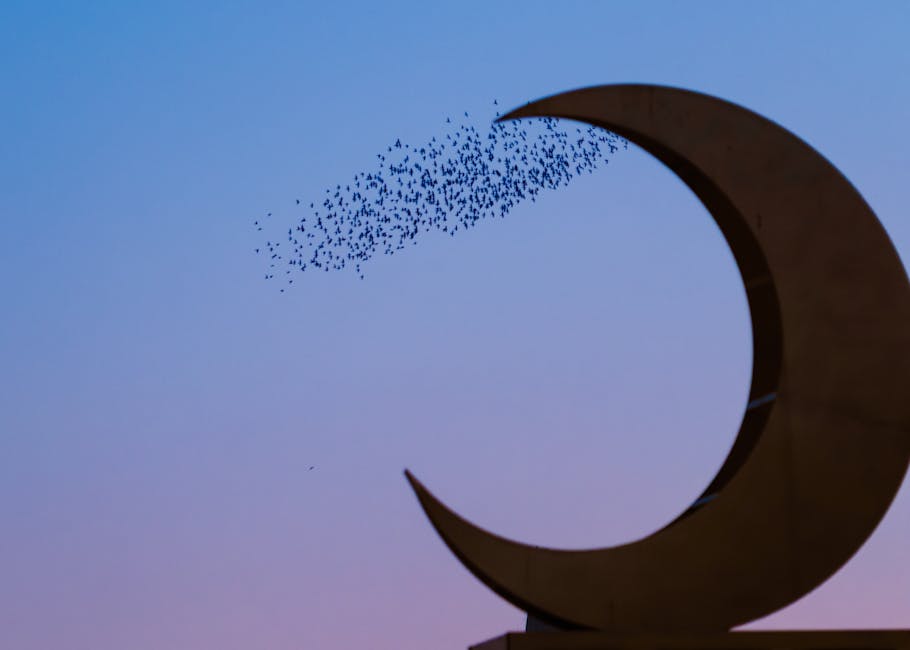 Silhouette of birds swirling around a crescent moon sculpture against a twilight sky.
