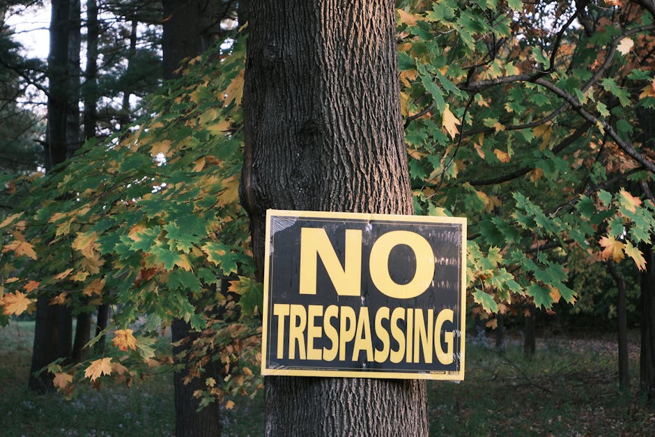 A no trespassing sign displayed on a tree surrounded by autumn foliage.
