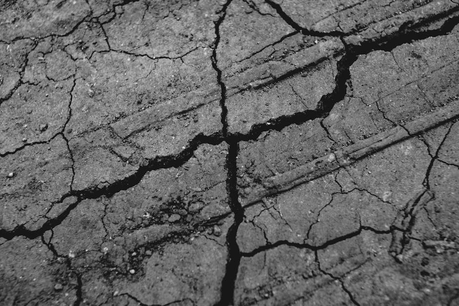 The Resilience Deficit: Why Rigid Cultures Fail Under Pressure
