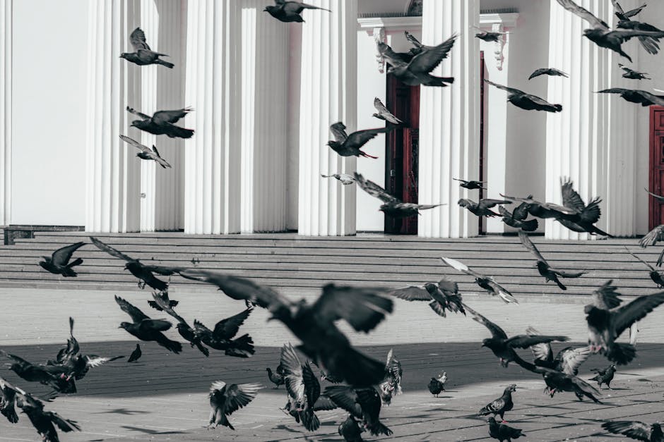 The Strategic Architecture of Migration in Literature