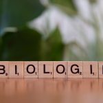 Wooden letter blocks spelling 'Biologie' against a blurred green leafy background.