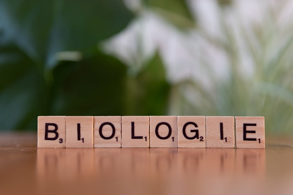The Strategic Biology of Dreams: Decoding Your Brain at Rest