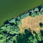Aerial view of lush greenery and water near Niasviž, Belarus, showcasing nature's beauty.