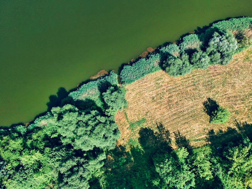 The Strategic Edge of Environmental Surveillance