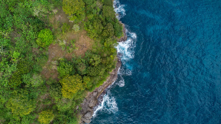 A stunning aerial shot of verdant cliffs bordering the deep blue ocean waves.